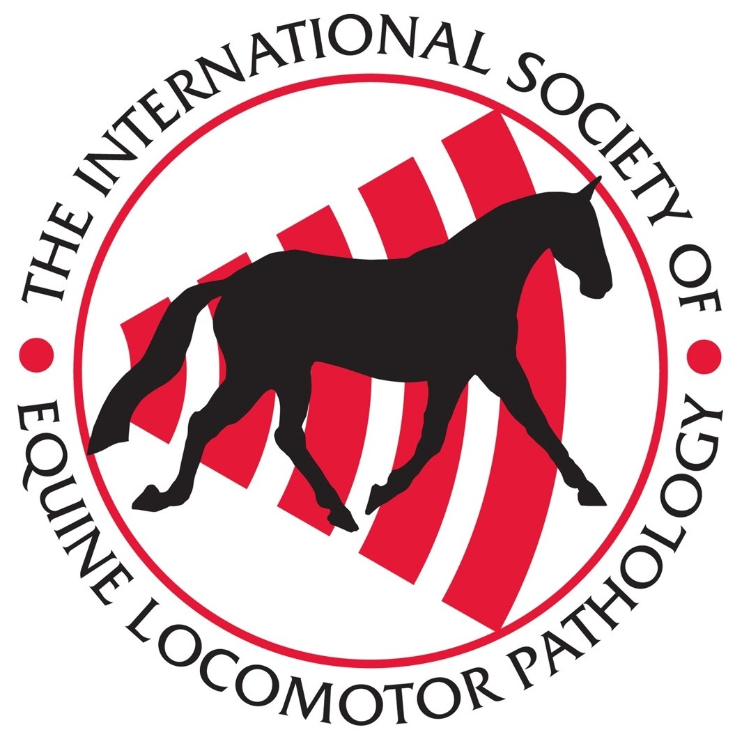 Steinkamp Räder Nach Maß Gmbh & Co. Kg Equine Veterinarian Services in Central Massachusetts | C3 Equine